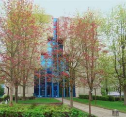 Property Maintenance Handyman Leaking Roof Replace Slate Unblock Drain Change Light Bulb Fix Gutter Country Lane Landscaping