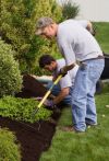 Garden  Maintenance Carlow